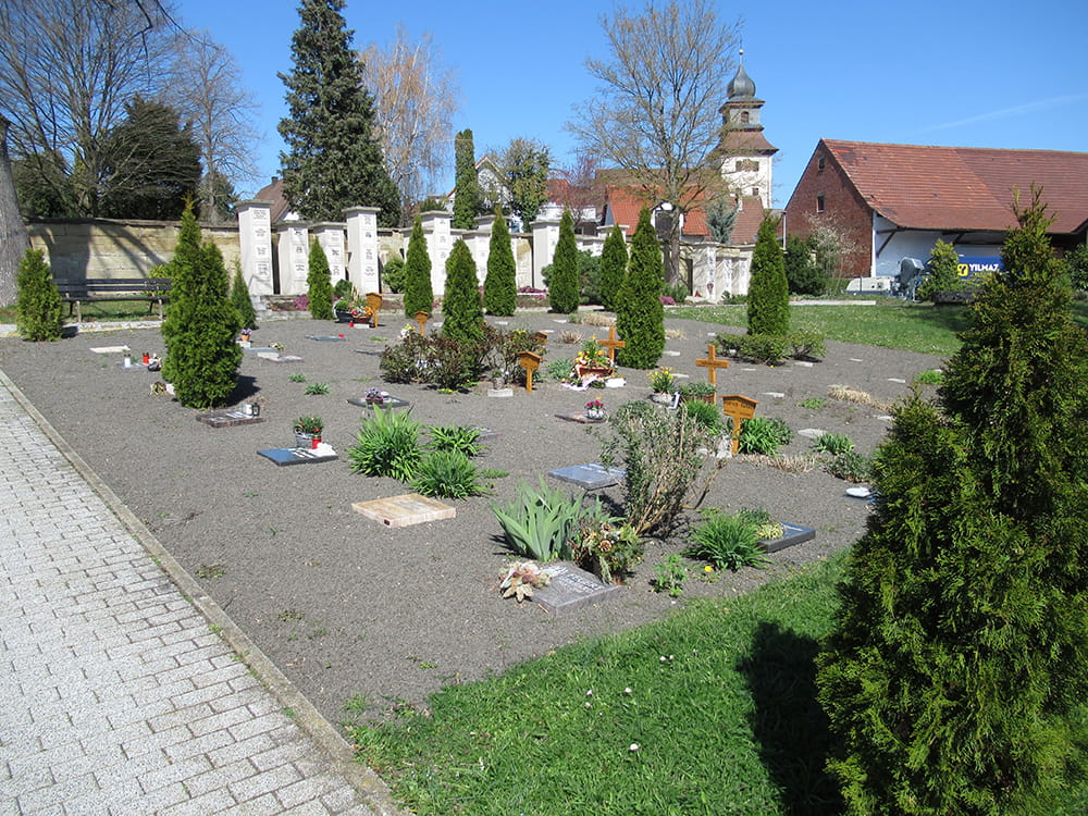 Hintergrund der Dienstleistungen
